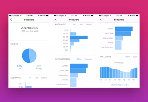 Leveraging Instagram Analytics